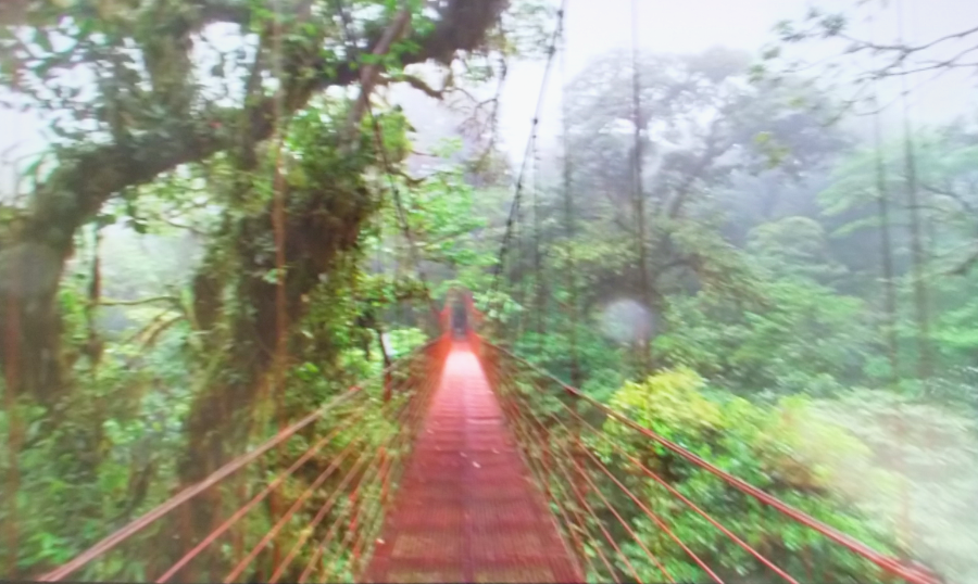 Laufband roteBruecke