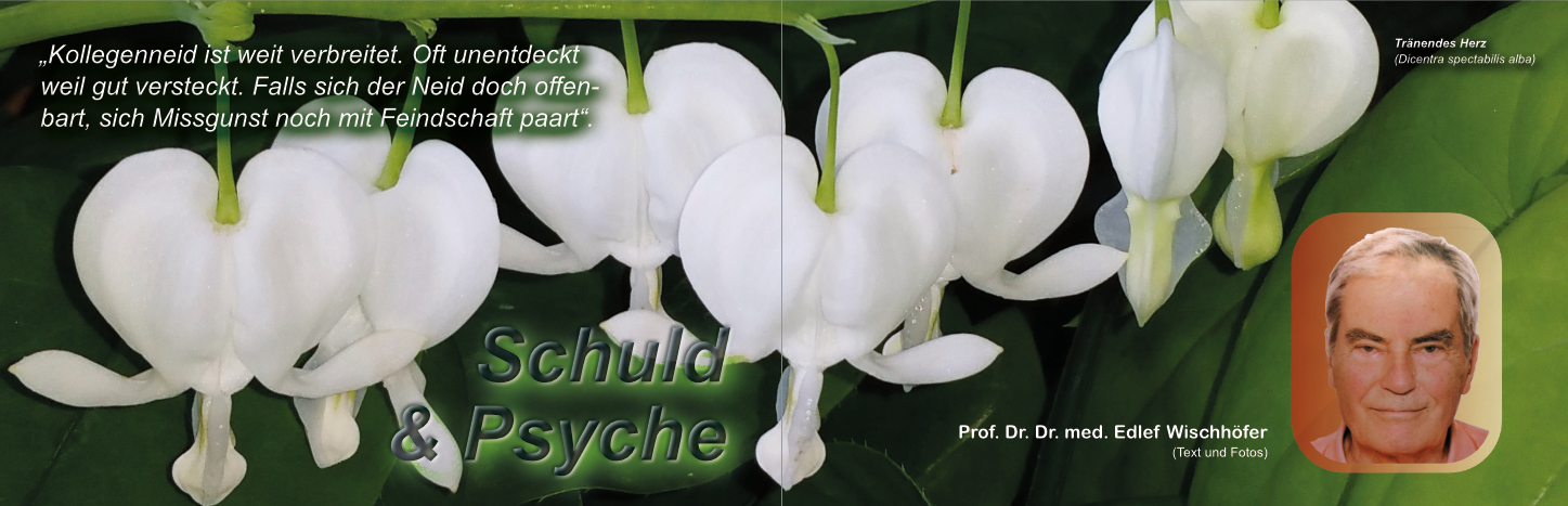 Schuld & Psyche von Prof. Dr. Dr. Edlef Wischhöfer