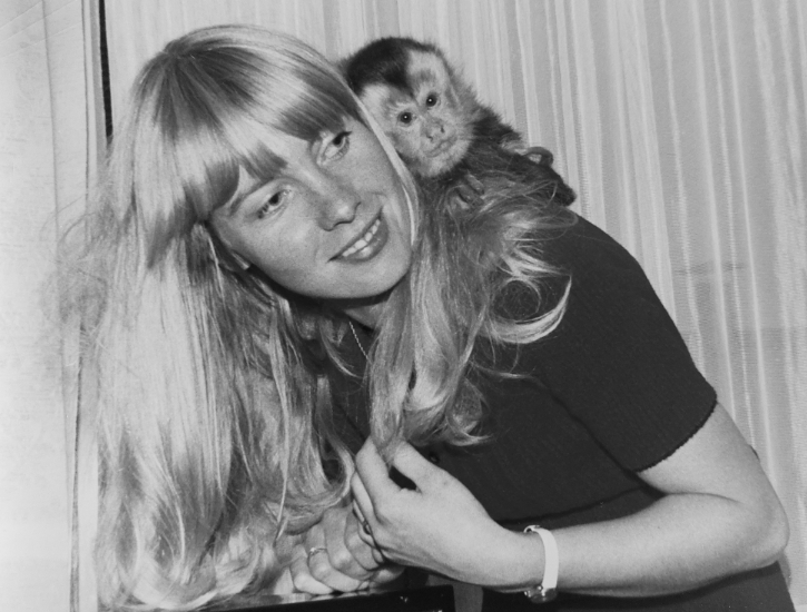 YM Kapuz Äff 143655 sw550