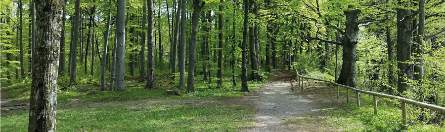 Drachenwege - einst und heute