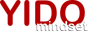 Entwicklung von YIDO mindset